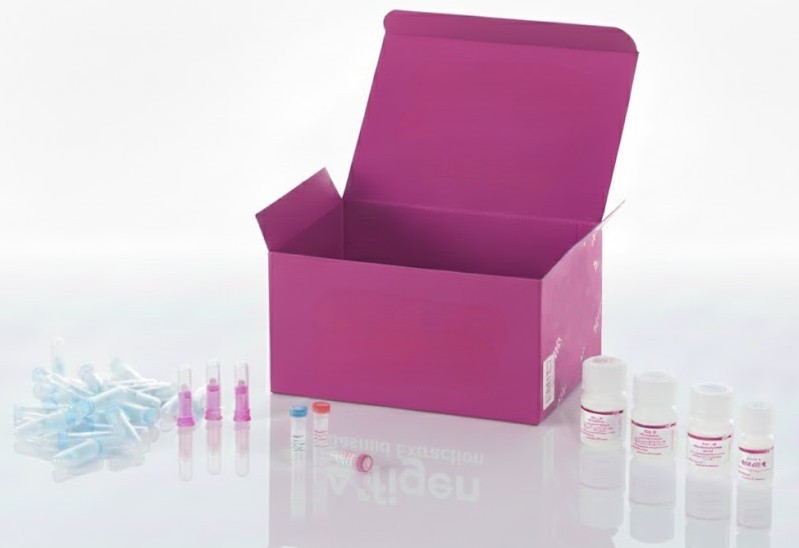 Kit ELISA de TNF humano α (Factor de Necrosis Tumoral Alfa) - Placas de 96 Pozos